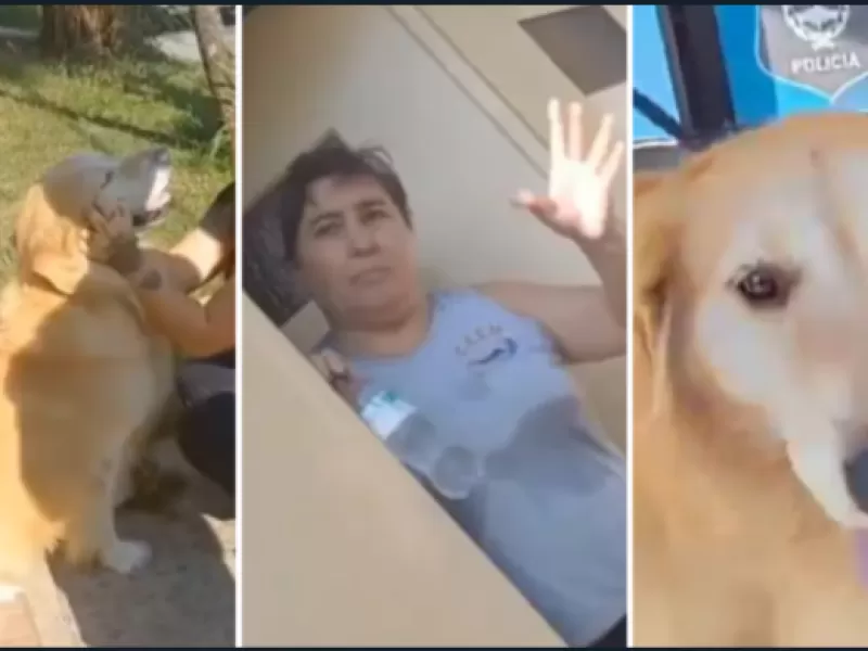 Mujer acusada de llevar a su perro a un carnicero para sacrificarlo en Argentina
