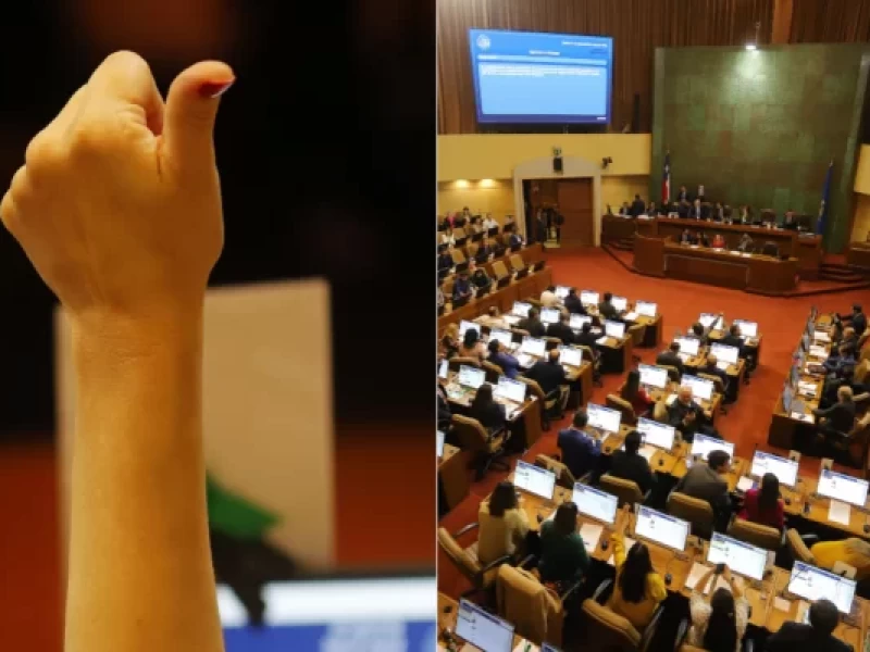 Queda 11 días para las elecciones: se aprueba el proyecto de ley de paridad de género para el Consejo Constitucional