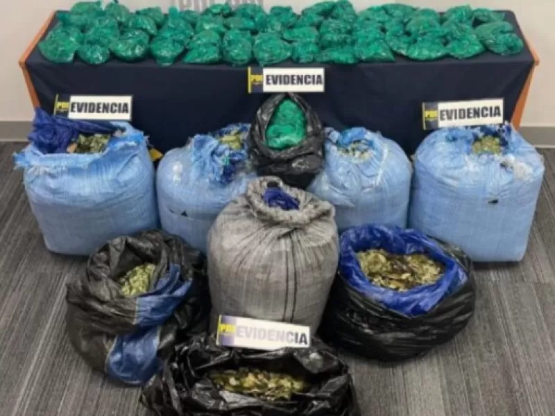 "Rey de la coca": tres extranjeros detenidos por un paquete con 90 kilos de hojas