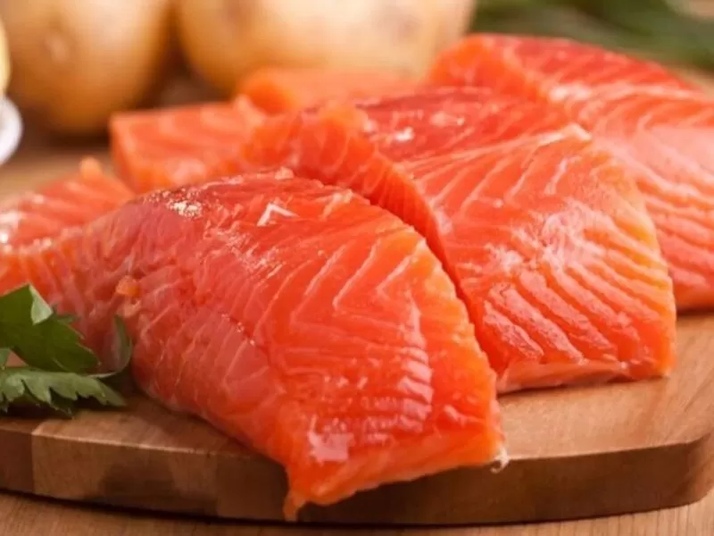venta de salmón premium  al por mayor ✅